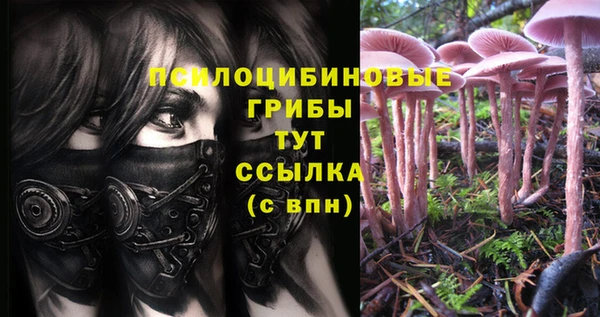ECSTASY Алексеевка