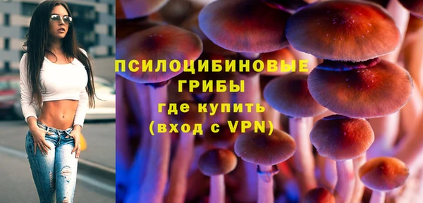 а пвп мука Горно-Алтайск