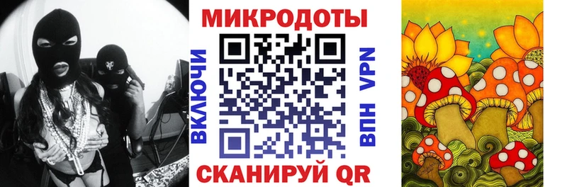 Галлюциногенные грибы Psilocybe  как найти наркотики  Георгиевск 